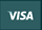 Visa icon