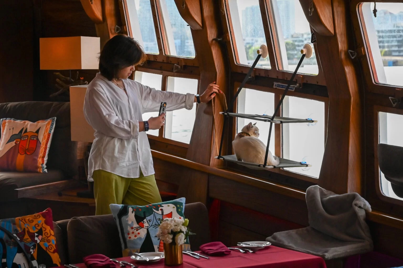 pet cruise singapore | Zenith Yacht Charters